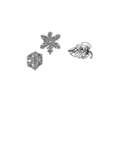 Snowflakes+Leaf